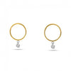 Brevani 14K Yellow Gold Small Front Hoop .20 Ct Diamond Earrings
